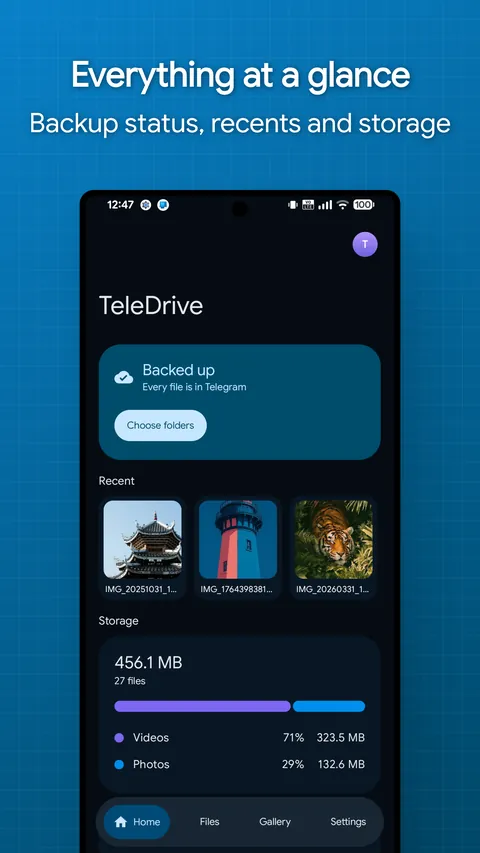Home tab showing backup status, recent files and storage split by type