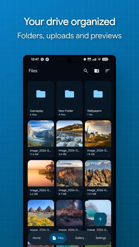 Files tab with folders above a grid of image files
